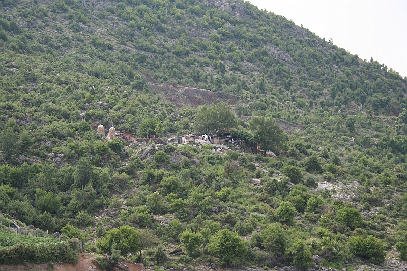 Albania 2008 242
